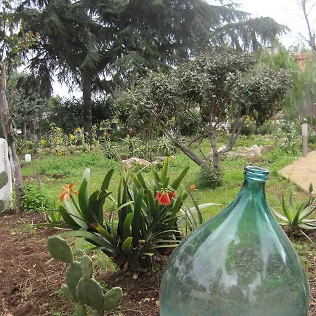 Bed and breakfast Santos *