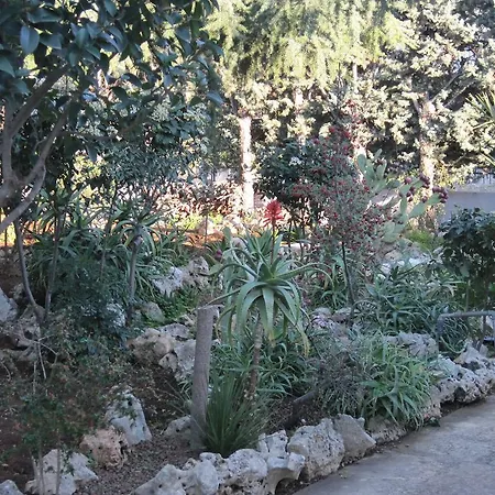 桑托斯住宿加早餐旅馆